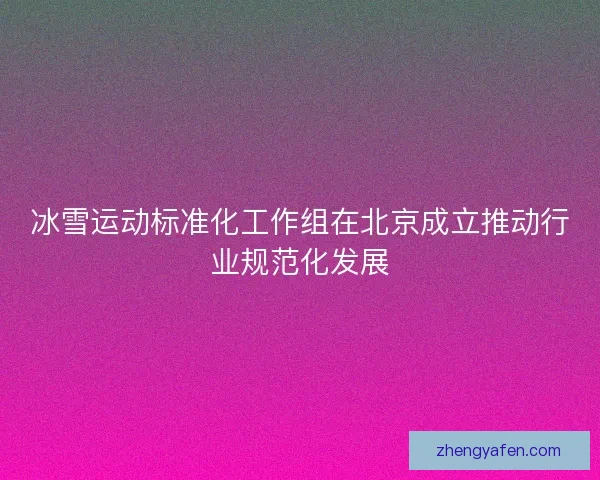 冰雪运动标准化工作组在北京成立推动行业规范化发展 冰雪运动标准化工作组在北京成立推动行业规范化发展